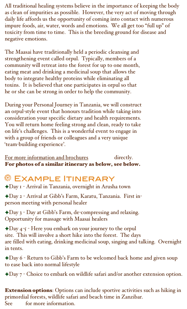 All traditional healing systems believe in the importance of keeping the body as clean of impurities as possible.  However, the very act of moving through daily life affords us the opportunity of coming into contact with numerous impure foods, air, water, words and emotions.  We all get too “full up” of toxicity from time to time.  This is the breeding ground for disease and negative emotions. ￼The Maasai have traditionally held a periodic cleansing and strengthening event called orpul.  Typically, members of a community will retreat into the forest for up to one month, eating meat and drinking a medicinal soup that allows the body to integrate healthy proteins while eliminating all toxins.  It is believed that one participates in orpul so that he or she can be strong in order to help the community.During your Personal Journey in Tanzania, we will construct an orpul-style event that honours tradition while taking into consideration your specific dietary and health requirements.  You will return home feeling strong and clean, ready to take on life’s challenges.  This is a wonderful event to engage in with a group of friends or colleagues and a very unique ‘team-building experience’.

For more information and brochures contact us directly.For photos of a similar itinerary as below, see below.￼  Example Itinerary Day 1 - Arrival in Tanzania, overnight in Arusha townDay 2 - Arrival at Gibb’s Farm, Karatu, Tanzania.  First in-person meeting with personal healerDay 3 - Day at Gibb’s Farm, de-compressing and relaxing.  Opportunity for massage with Maasai healersDay 4-5 - Here you embark on your journey to the orpul site.  This will involve a short hike into the forest.  The days are filled with eating, drinking medicinal soup, singing and talking.  Overnight in tents.    Day 6 - Return to Gibb’s Farm to be welcomed back home and given soup to ease back into normal lifestyleDay 7 - Choice to embark on wildlife safari and/or another extension option.Extension options: Options can include sportive activities such as hiking in primordial forests, wildlife safari and beach time in Zanzibar. 
See link for more information.